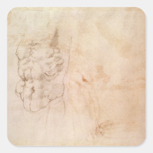 Torso Study Vierkante Sticker (Voorkant)