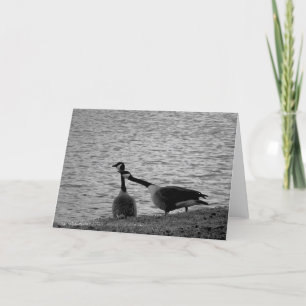 Tortelduifjes B&W Kaart