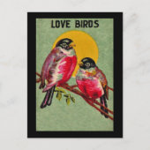 Tortelduifjes Briefkaart (Voorkant)