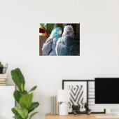 Tortelduifjes - foto van het poster van Pacifische (Thuiskantoor)