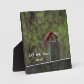 Tortelduifjes — fotoplaat (Voorkant)