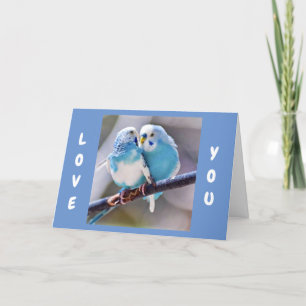 **TORTELDUIFJES OM TE ZEGGEN DAT IK VAN JE HOU** L FEESTDAGEN KAART