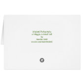 Tortie Cat op tuinbank - sympathie (Achterkant Horizontaal)