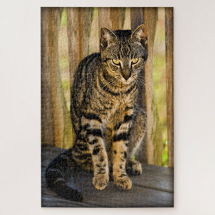 Tortie - Tortoiseshel Kat - Fotografie van gezelsc Legpuzzel