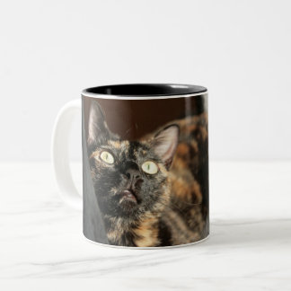 Tortitude mug - tortoiseshell cat tweekleurige koffiemok