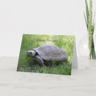 Tortoise Birthday Card Kaart