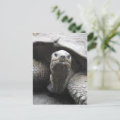 Tortoise Briefkaart (Staand voorkant)