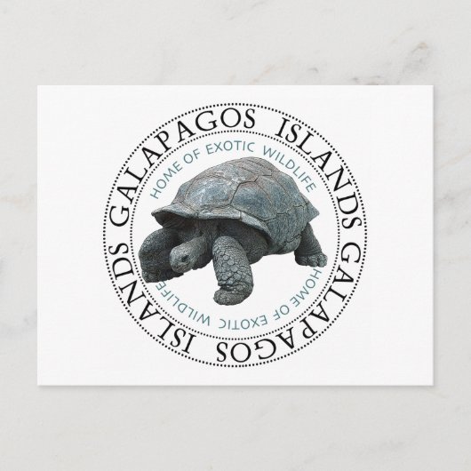 Tortoise de Galapagos Briefkaart (Voorkant)