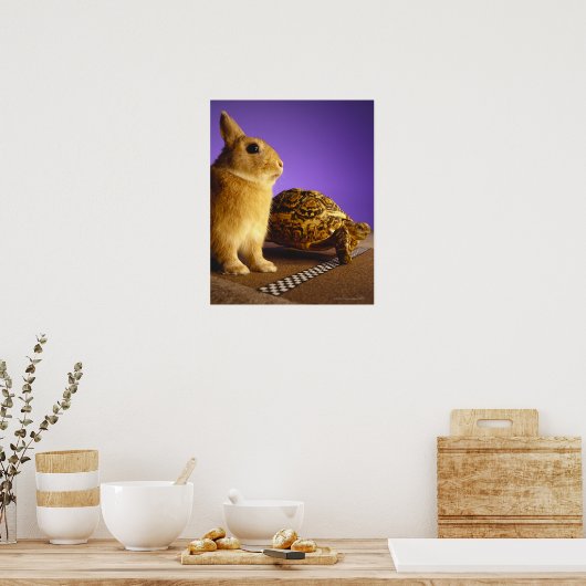 Tortoise en hazen poster (Keuken)