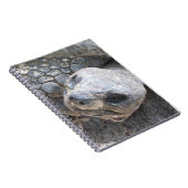 Tortoise Face Notitieboek (Rechterzijde)