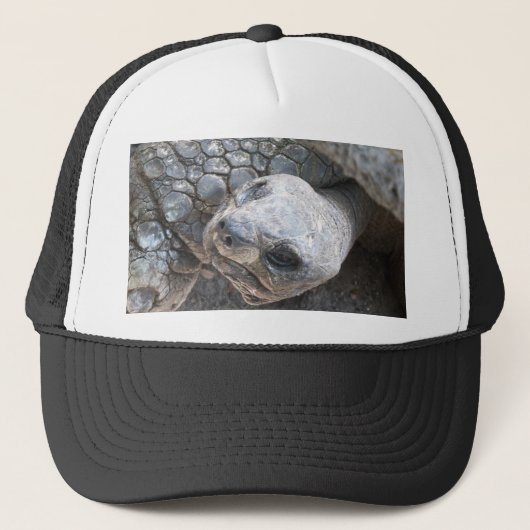 Tortoise Face Trucker Pet (Voorkant)