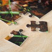 Tortoise géante, Puzzle (Côté)