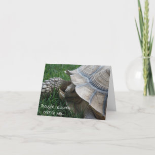 Tortoise Hurry Verjaardag Kaart