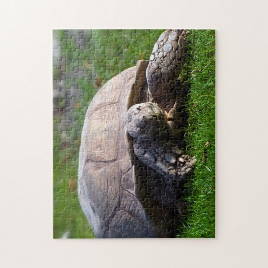Tortoise Jigzaag Puzzle Legpuzzel (Verticaal)