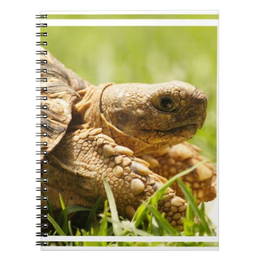 Tortoise-laptop Notitieboek (Voorkant)