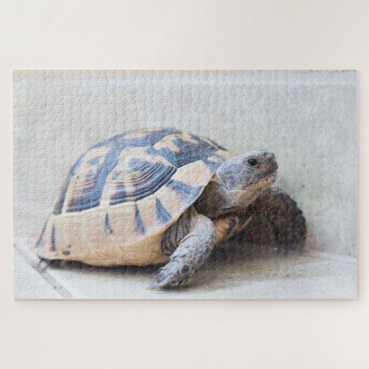 Tortoise Legpuzzel (Horizontaal)