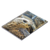 TORTOISE NOTITIEBOEK (Linkerzijde)