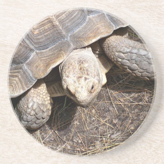 Tortoise Onderzetter (Voorkant)