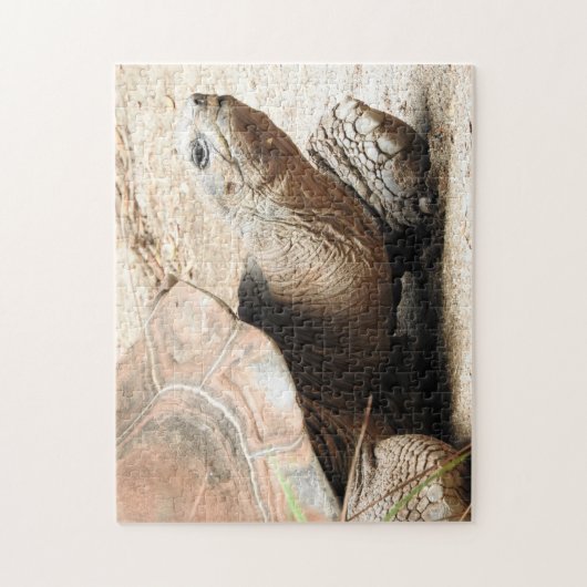 Tortoise Puzzle Legpuzzel (Verticaal)