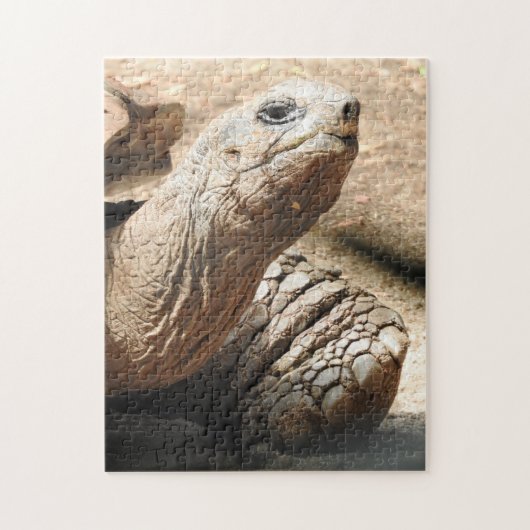 Tortoise Puzzle Legpuzzel (Verticaal)