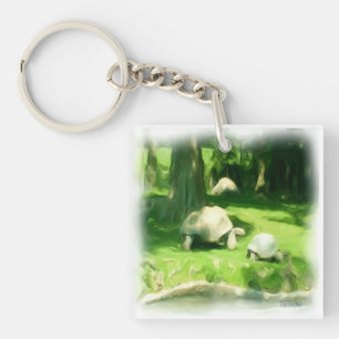 Tortoise Race Sleutelhanger