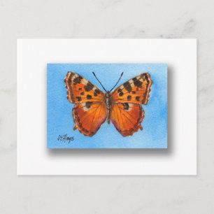 Tortoise Shell Butterfly Briefkaart
