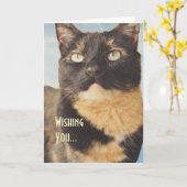 Tortoise Shell Cat Birthday Card Kaart (Gele Bloem)