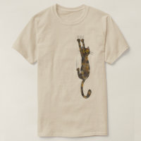 Tortoise Shell Cat Hanging On | Funny Tortie Cat