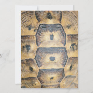 Tortoise Shell Pattern