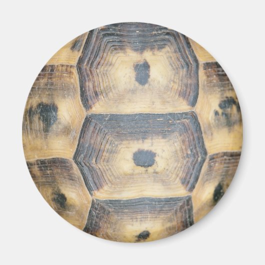 Tortoise Shell Pattern Magneet (Voorkant)