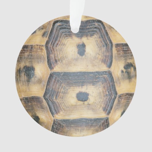 Tortoise Shell Pattern Ornament (voorkant)