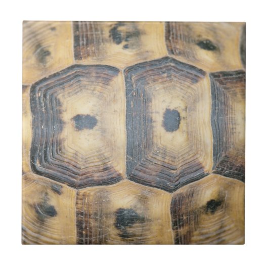 Tortoise Shell Pattern Tegeltje (Voorkant)