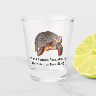 Tortoise Shot Glass Glas