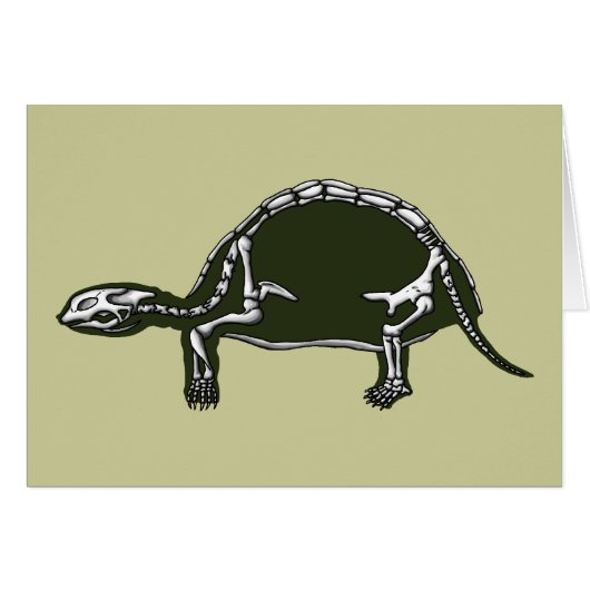 tortoise skelet (Voorkant Horizontaal)