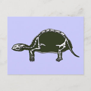 tortoise skelet briefkaart