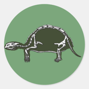 tortoise skelet ronde sticker