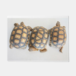 Tortoise Trio doormat Deurmat