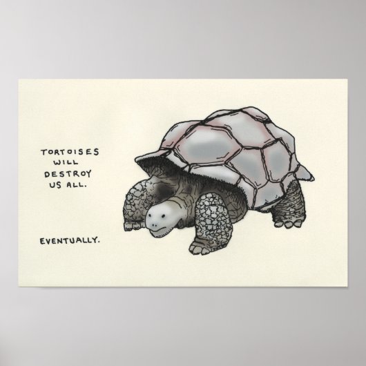 tortoise trivia poster (Voorkant)