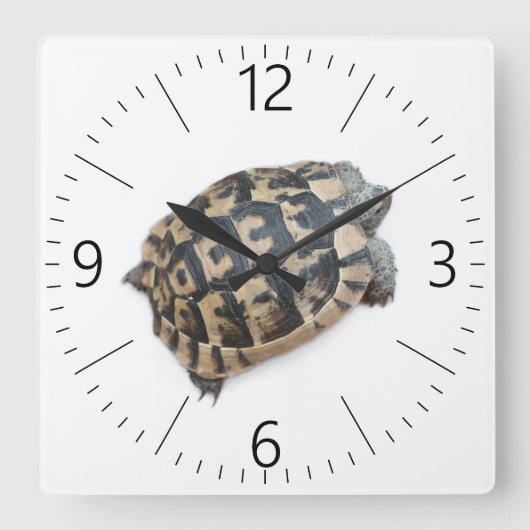 Tortoise Vierkante Klok (Voorkant)