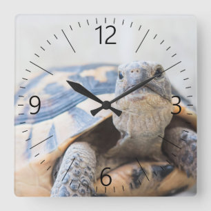 Tortoise Vierkante Klok