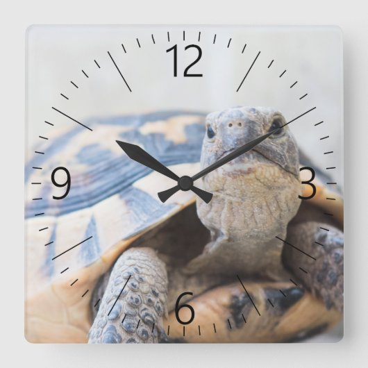 Tortoise Vierkante Klok (Voorkant)