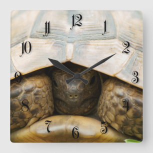 Tortoise Vierkante Klok