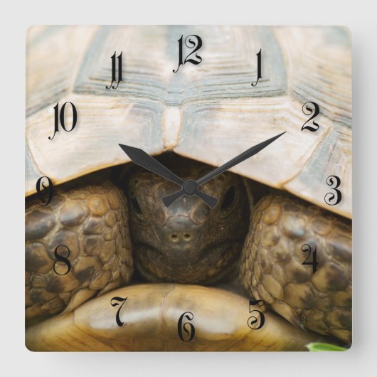 Tortoise Vierkante Klok (Voorkant)