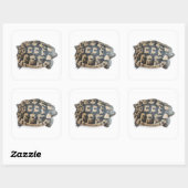 Tortoise Vierkante Sticker (Vel)