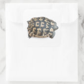 Tortoise Vierkante Sticker (Tas)