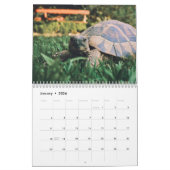 Tortoise Wall Agenda Kalender (Jan 2026)