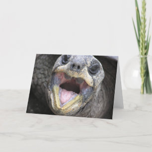 Tortoise zegt hallo! Kaart