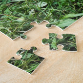 Tortoises Legpuzzel (Zijkant)