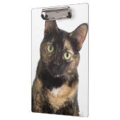 Tortoiseshel Cat Klembord (Links)