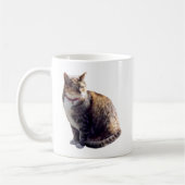 Tortoiseshel Cat Koffiemok (Links)